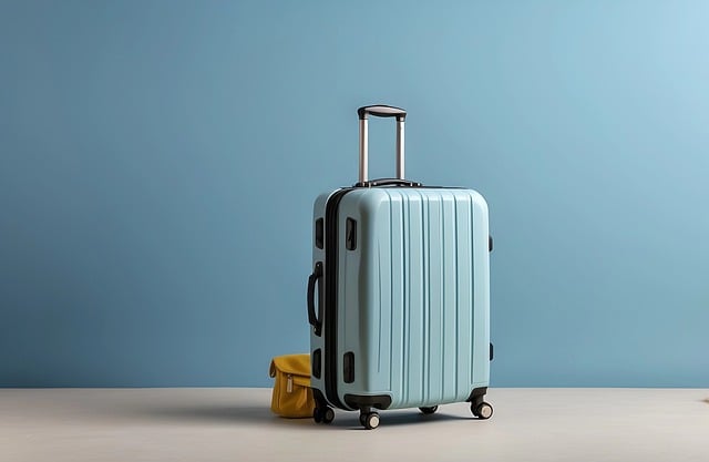 American Tourister Luggage