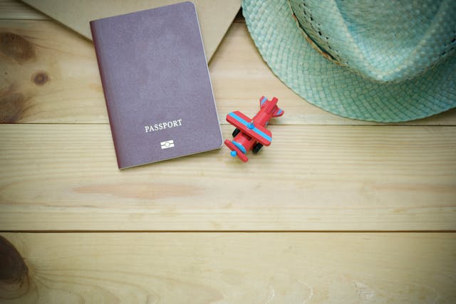 passport cover